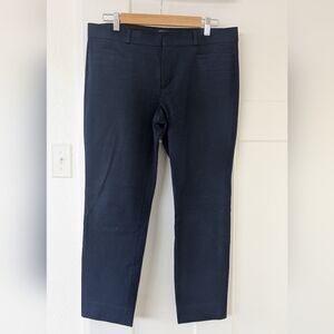 Banana Republic Factory Sloan Pant